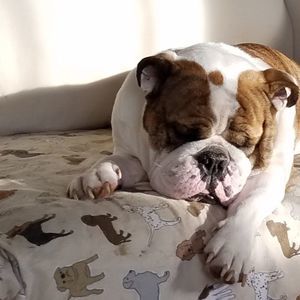 Meet your Posher, Suzanne